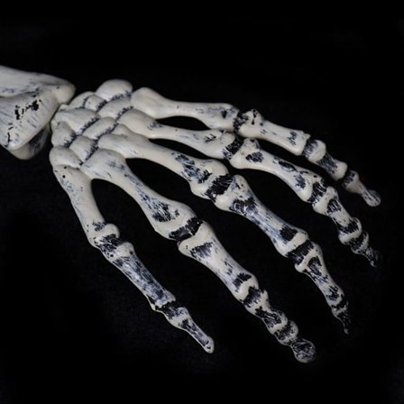 Halloween Decoration Props Simulation Skeleton Hand Bone SKULL