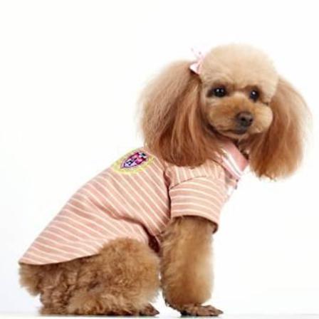 Hundtröja Beige Tenniströja Med Snygg Krage Beige S