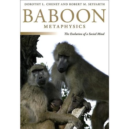 Baboon Metaphysics av Robert M. Seyfarth, paperback