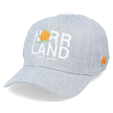 SQRTN - Grey adjustable Czapka Z Daszkiem - Represent 120 Heather Grey Adjustable @ Hatstore