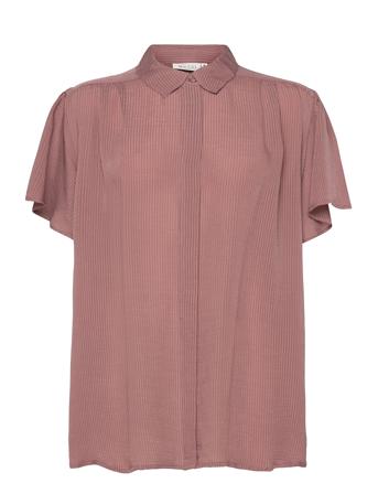 Iavas Pink Masai