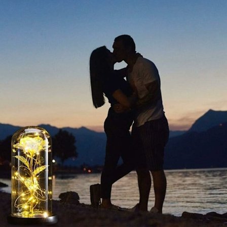 Luonnollinen ikuinen ruusu kupolin alla, Kaunotar ja hirviö LED-valoilla Ikuisia kukkia Lahja naisille ja tytöille (Galaxy Rose/Golden Leaves)-