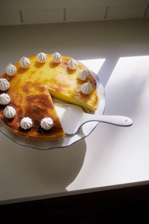 Lexington Bølget kakespade i steingods, hvit/blå