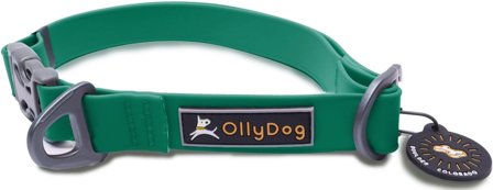 OllyDog Tilden Collar Teal