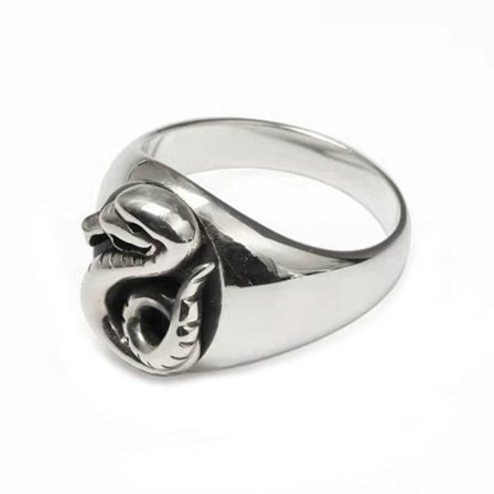 Vintage gotisk ormformade ringar för kvinnor Hip Hop Koppar Silverfärgad Fingerring Mode Streetwear Smycken Ringar