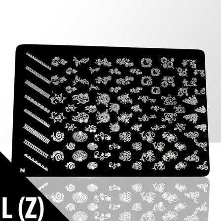 Stämpelplatta - Nageldekorationer - L(z) - Rektangel Metall Utseende