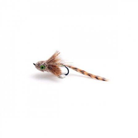 Elritse Brown Grizzly Daiichi 2421 #6