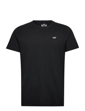 Hco. Guys Knits Black Hollister