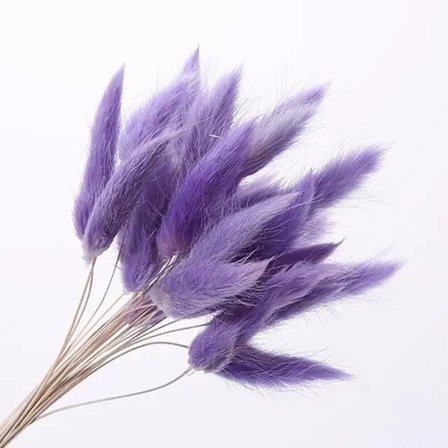 30 stk/lot naturlige tørkede blomster kaninhale gress bunt fargerike Lagurus Ovatus ekte blomsterbukett for hjem bryllup dekorasjon