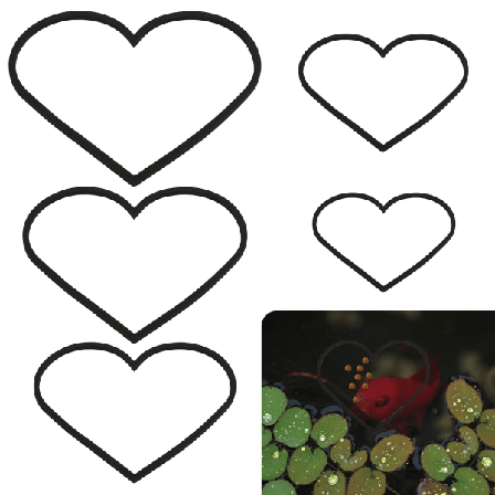 Akvarieflytande växtringar 5 st - Hjärtformade Betta fiskmatningsringar, akvariedekoration