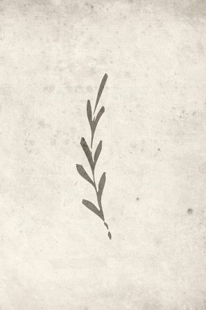 Venture Home - Plakat Autumn leaf - Beige - Posters - 70X100 - Fra Homeroom