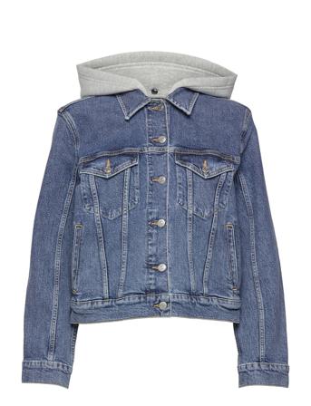 Veronica Jkt Sara Blue Tommy Hilfiger