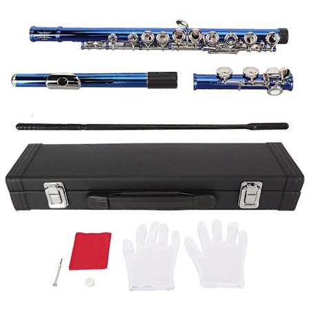 C-huilut suljetulla reiällä, 16 näppäintä, lapsille, aloittelijoille, laaja ääniala, herkkä vaste, joustavat huilut, aarre sininen