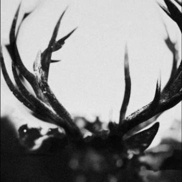 Ihsahn (black yolk vinyl) Ihsahn