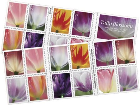 USA - Tulipaner - Postfrisk hæfte