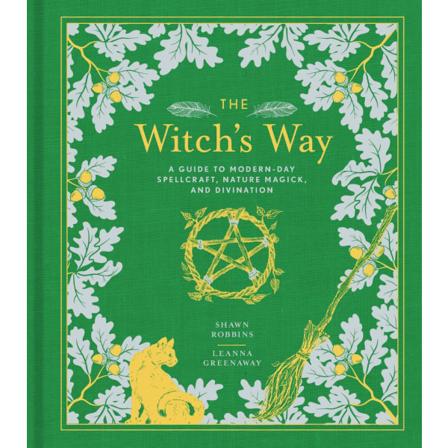 The Witch's Way 9781454930822