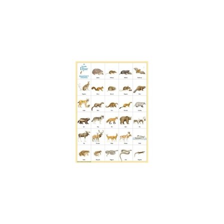 Svenska Djur affisch - Hjelm Förlag