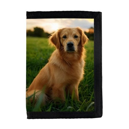 Hund Golden Retriever Plånbok