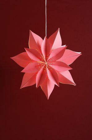 Jotex - POINSETTIA julestjerne rød - Kjøp Julestjerner hos Jotex