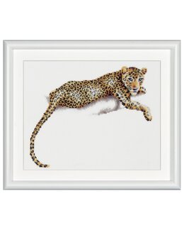 Stickpackung Bild Leopard