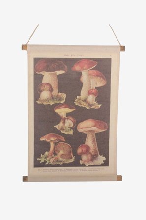 NORDFORM - Vægophæng Svamp - Natur - Posters & billeder - Fra Homeroom