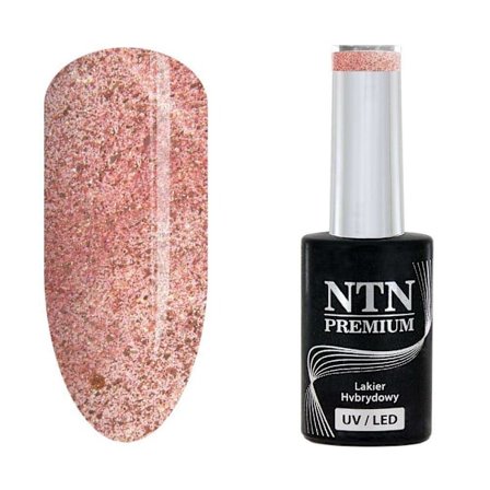 NTN Premium - Gel polish - Romantica - Nr107 - 5g UV gel/LED