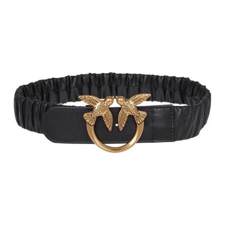 Pinko, Belt Zwart, Dames, Maat:XS