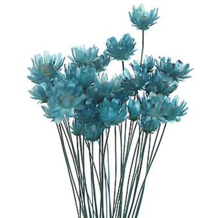 30 stk. Tørrede Blomster Brasiliansk Lille Stjerne Blomst Gypsophila Krysantemum Kunst Dekoration DIY (Safir)