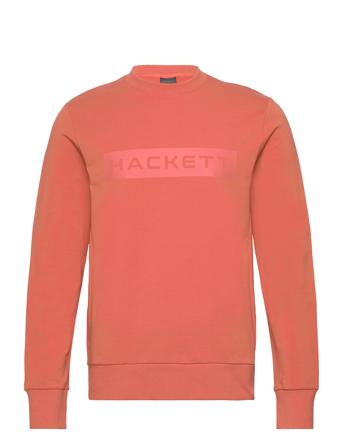 Essential Sp Crew Orange Hackett London