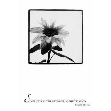 Simplicity is the ultimate sophistication - Leonardo DaVinci