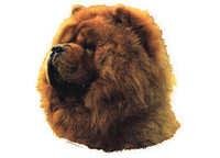 Chow chow hode - klistremerker