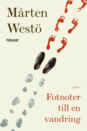 Fotnoter till en vandring - Bok av Mårten Westö - Danskt band