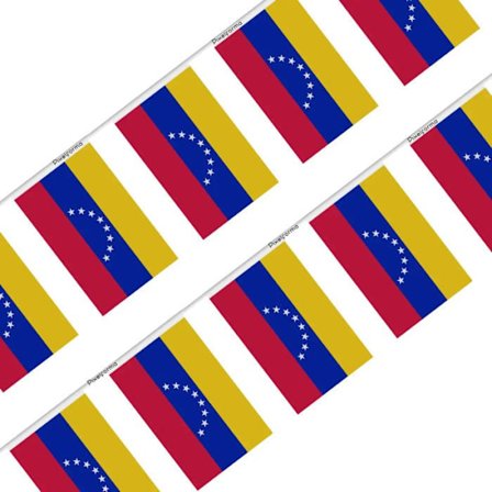 Guirlande Flag - Venezuela - 14 x 21 cm - 50 stk - Polyester - Udendørs