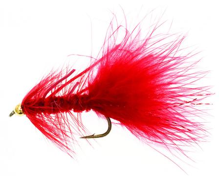 Dog Nobbler Flou Red Kamasan B170 # 4
