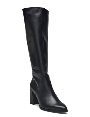 Wonders | Daily | 41