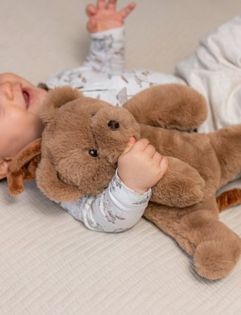 Teddykompaniet Teddy, Speldosa, Brun - Brown - 35 CM