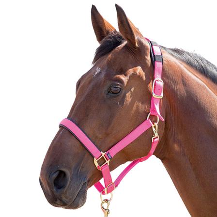 Shires Topaz Nylon Hästhalsband X Liten Ponny Rosa