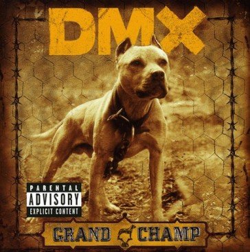 Grand champ DMX