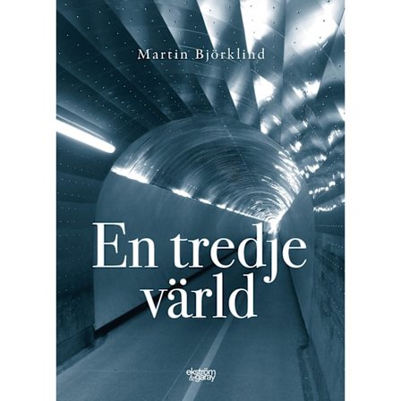 En tredje värld 9789189397002