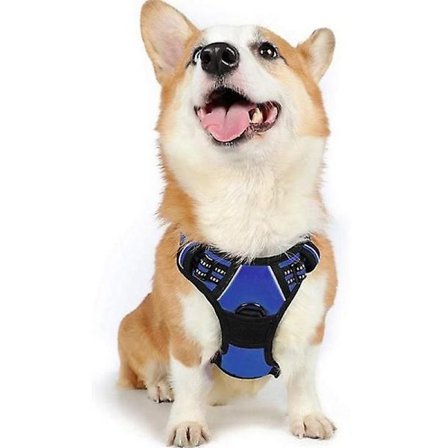 Hundsele No Pull Husdjurssele Justerbar Mjuk Vadderad Hundväst Husdjursselar Blå