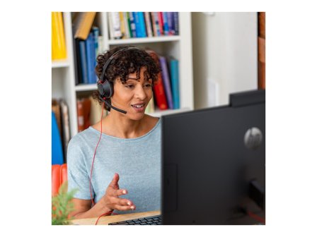 Poly BW 5210 MONO USB-A HS