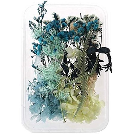 1 Æske Naturlige Tørrede Blomster Mix Flere Tørrede Blomsterblade Til Smykkefremstilling Resin Kunst Epoxy Resin Scrapbooking Blomsterdekorationer
