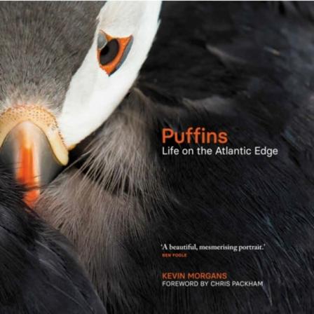 Puffins (inbunden, eng)