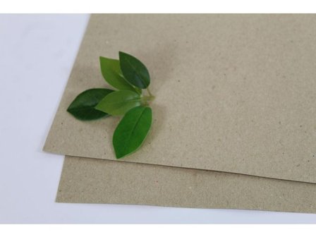 Växtpresspapper 400x470mm 180g 250/fp - Lyreco - Skola och förskola - Hobbypapper - Växtpapper