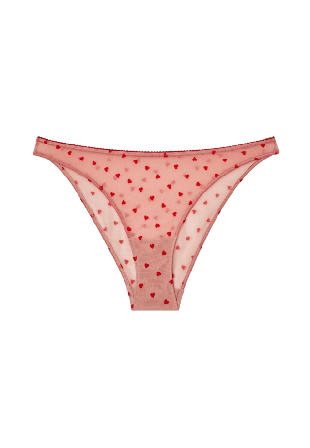 Understatement Mesh Bikini Briefs Trosor Dam Rosa XL