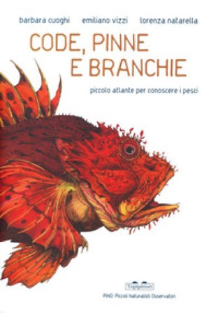 Code, pinne e branchie. Piccolo atlante per conoscere i pesci Barbara Cuoghi