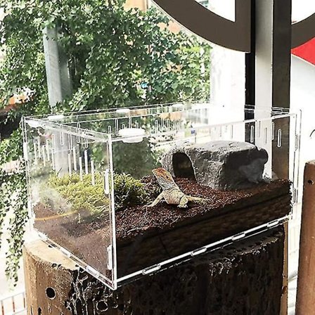 Transparent Reptilkasse Akryl Opdrætstanke 29cm Firben