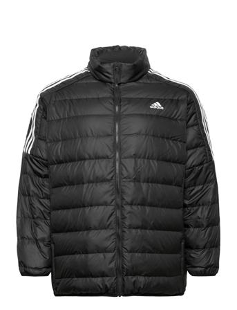 Essentials Light Down Jacket Foret Jakke Sort Adidas Performance