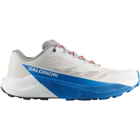 Salomon - Trailrunning-Schuhe Pulsar - Lunar Rock / White - 42