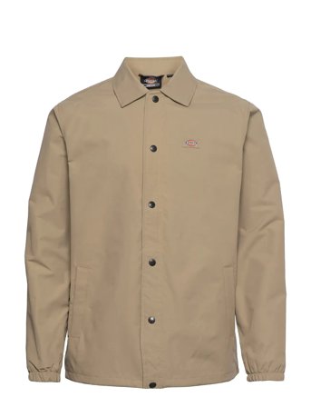 Dickies | Oakport Coach | S
